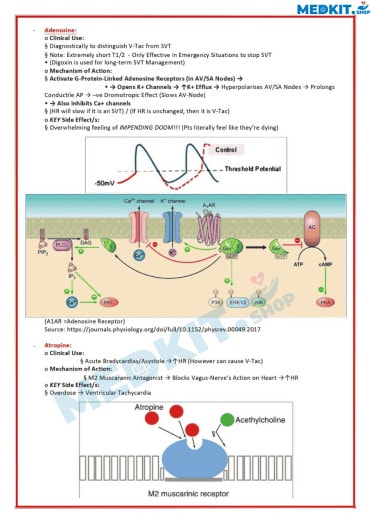 Medical Notes 55 sample-2