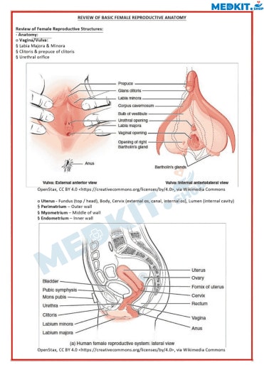 Medical Notes 53 sample-3