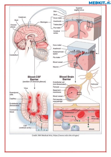 Medical Notes 51 sample-5