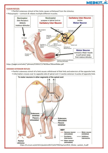 Medical Notes 50 sample-7