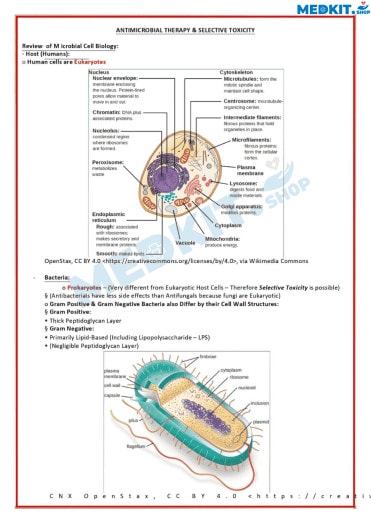 Medical Notes 54 sample
